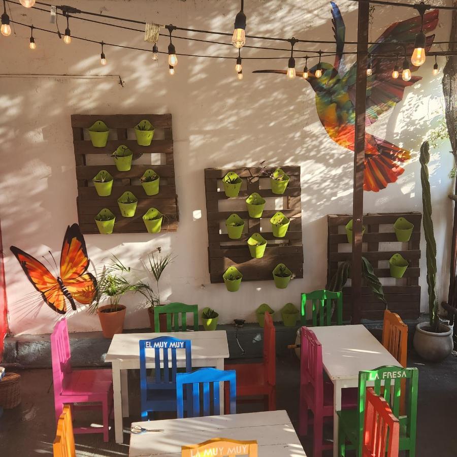Casa Frida Villa Тулум Екстериор снимка